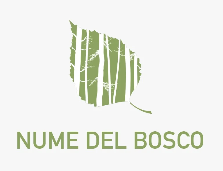 Nume del Bosco